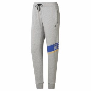 Spodnie Damskie Reebok WOR Meet You There Graphic Joggers Szare PL 62WHKZA